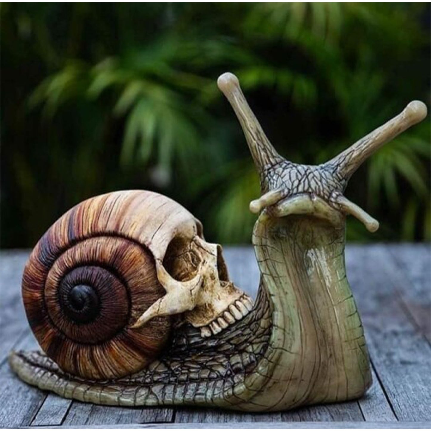 Gothic snail with a skull as casing