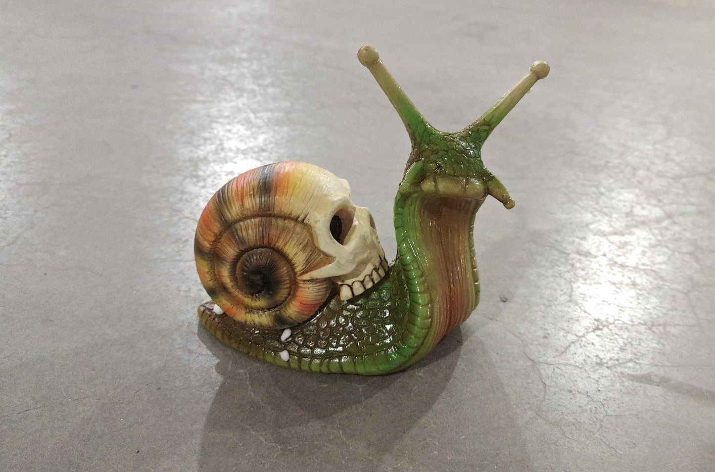 Gothic snail with a skull as casing