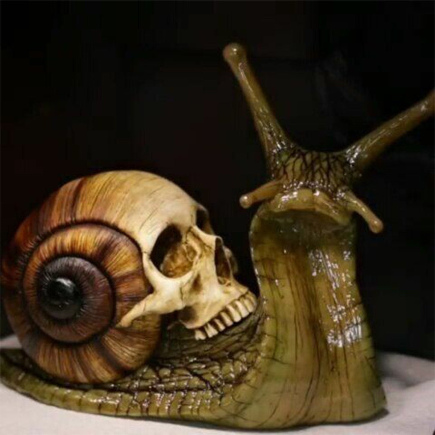 Gothic snail with a skull as casing